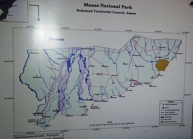 Manas National Park, Manas Jungle Safari, Manas National Park Tour
